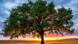 145: Spirituality Without All the Religious Trappings