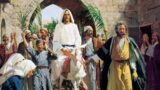 A Palm Sunday Contemplation